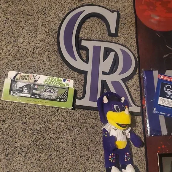 COLORADO ROCKIES LOT - Picture 8 of 11